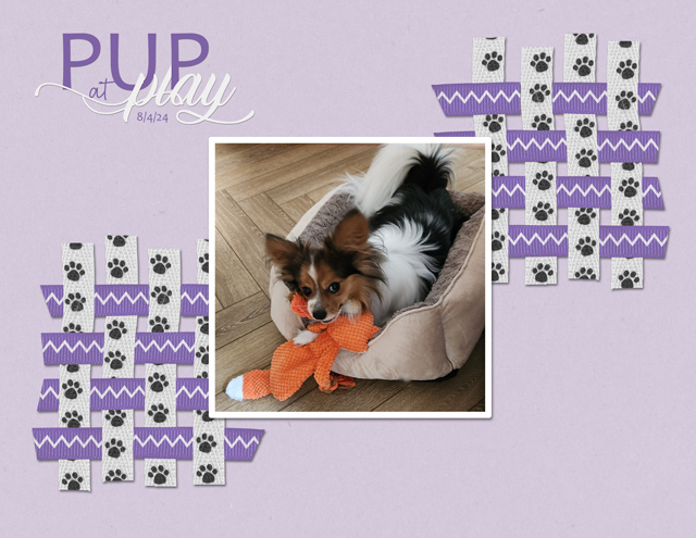 Pup at Play