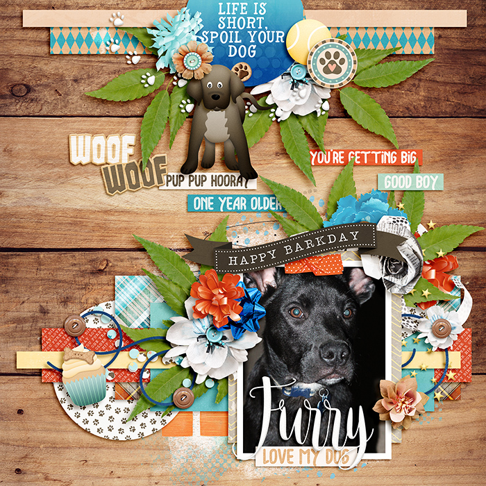 Pup Pup Hooray!