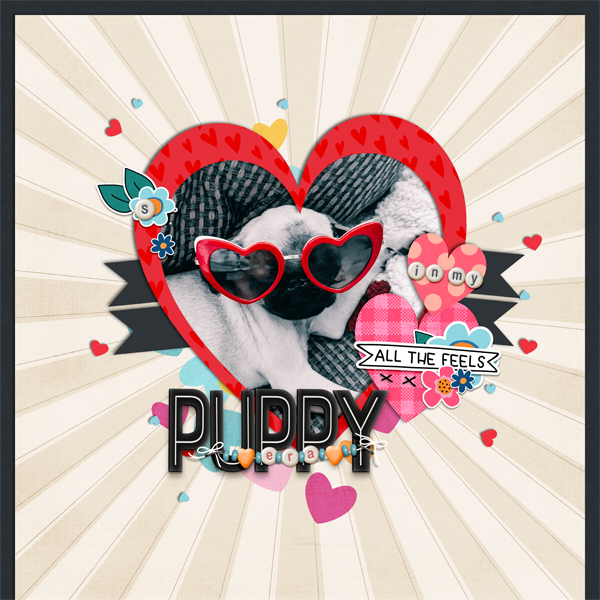 Puppy Era