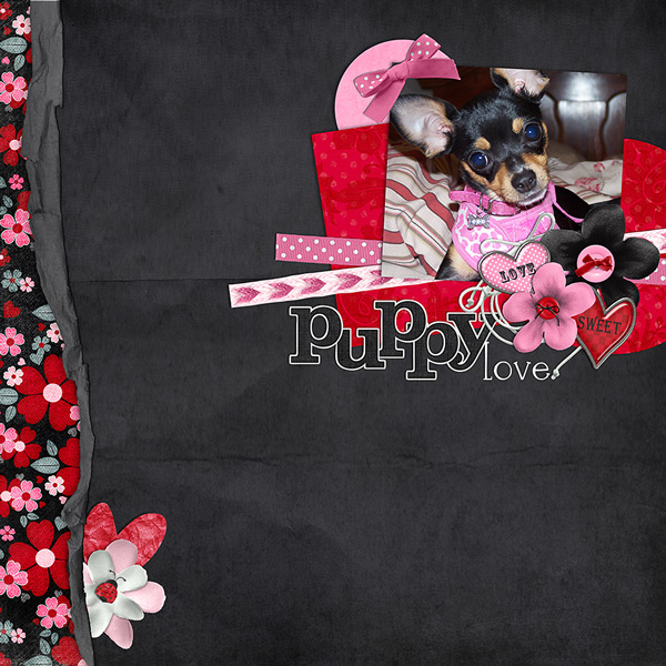 Puppy Love