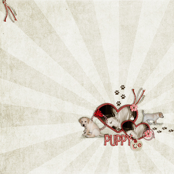 Puppy Love