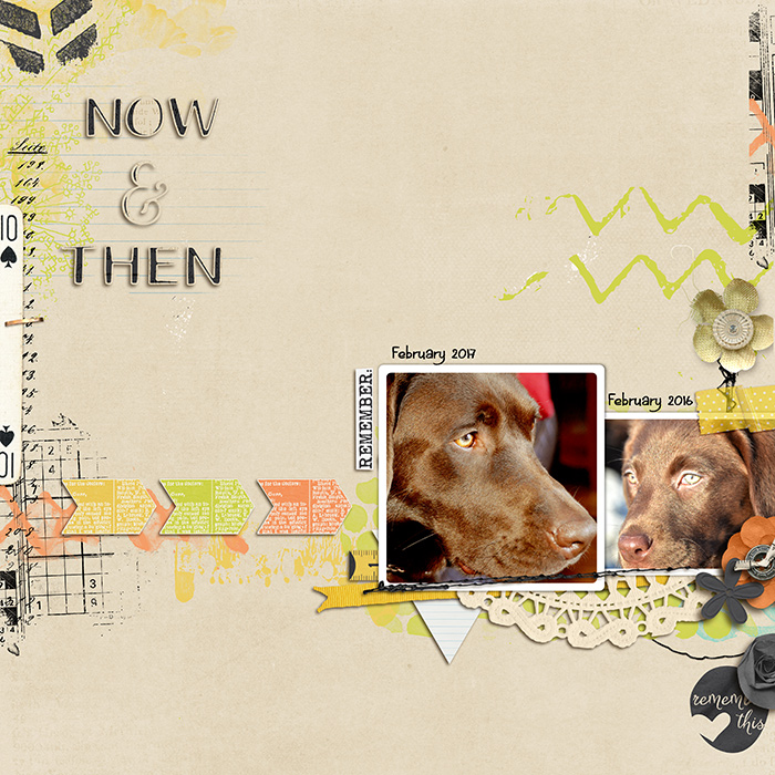 Puppy No More