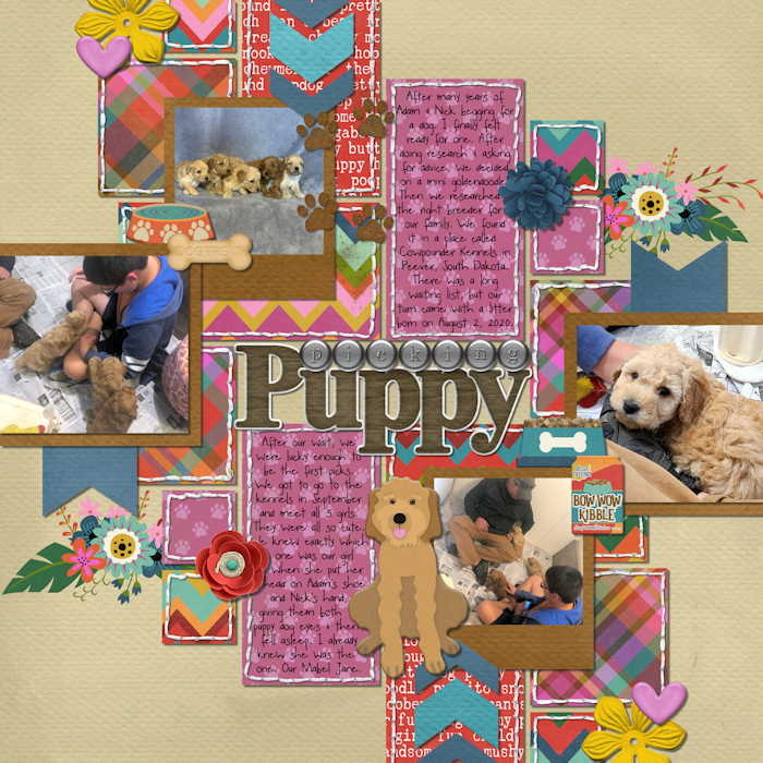 Puppy Picking