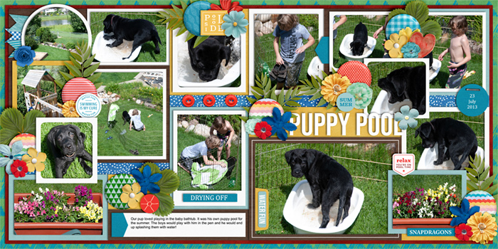 Puppy Pool