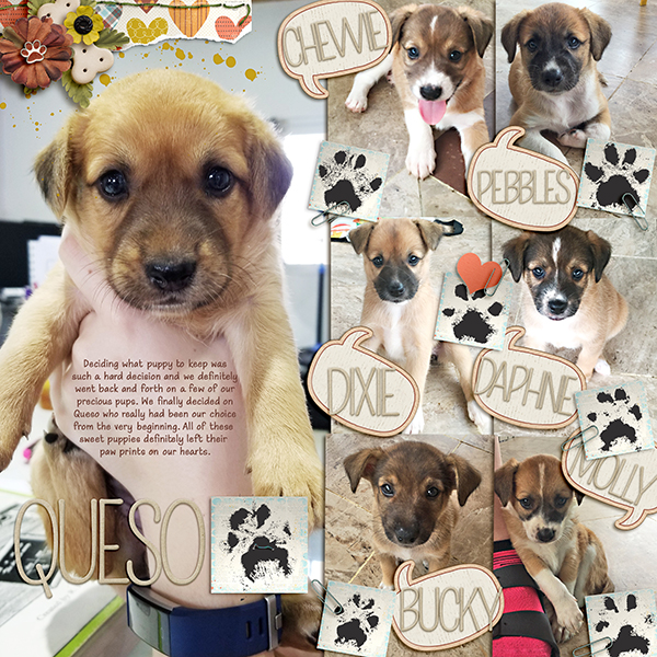 Puppy Prints
