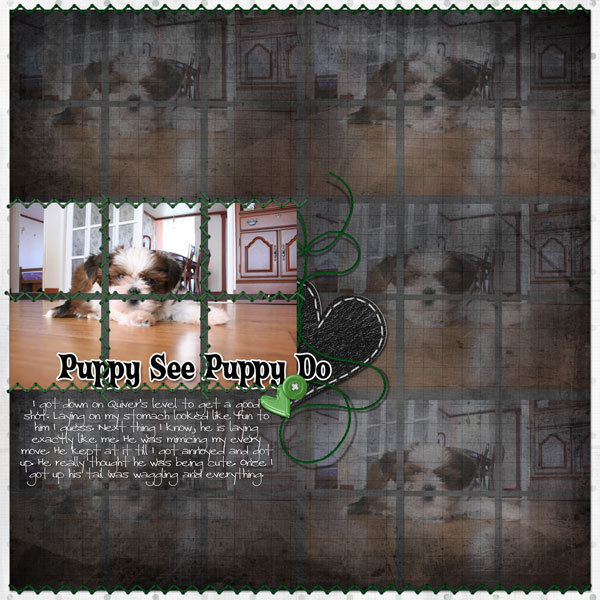 Puppy See Puppy Do