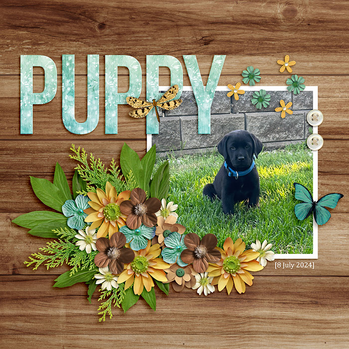 Puppy