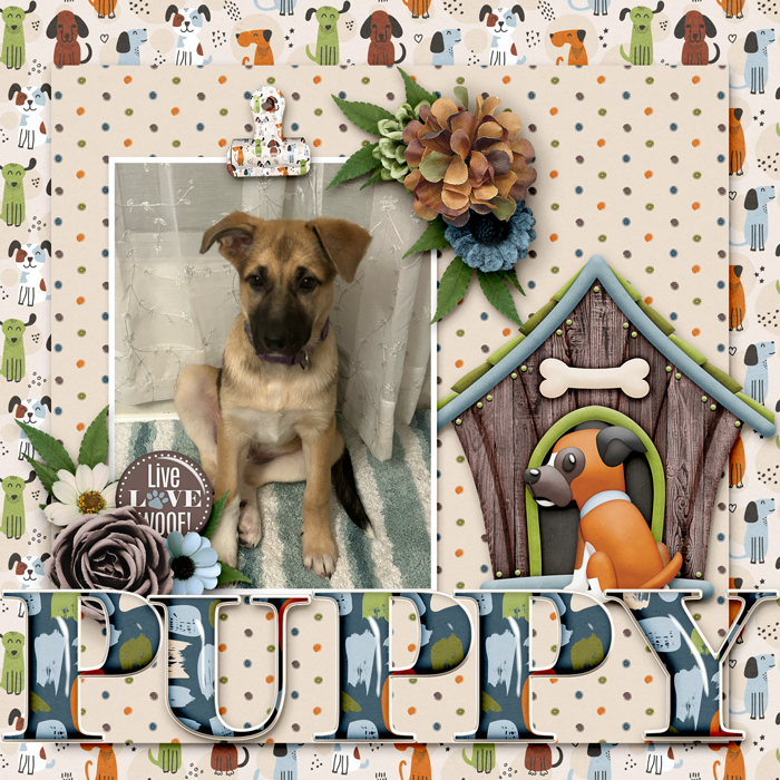 PUPPY
