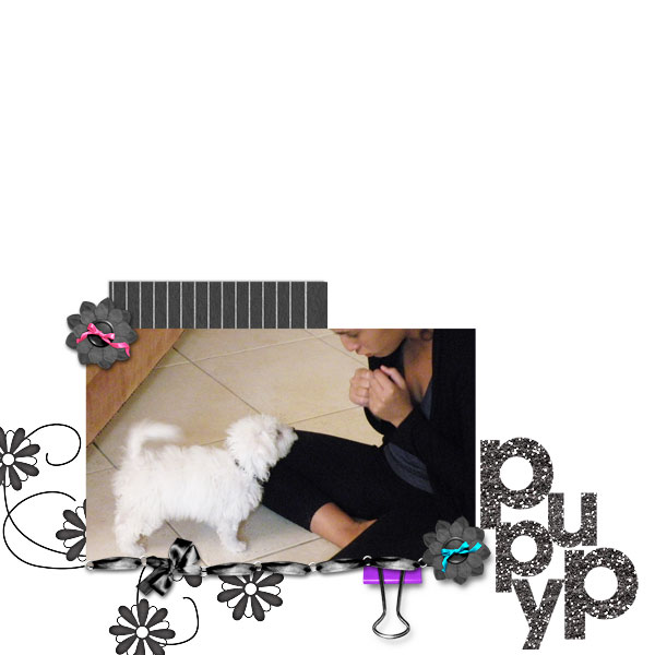 Puppy