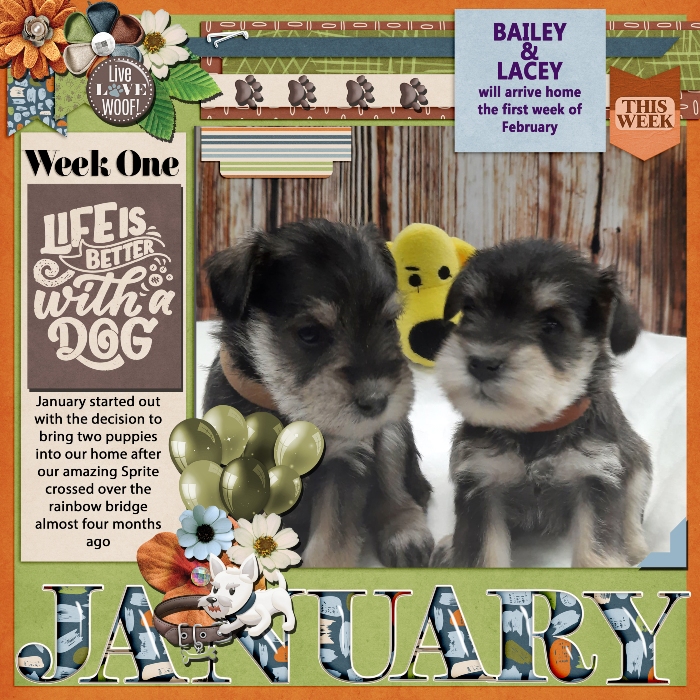 Pups