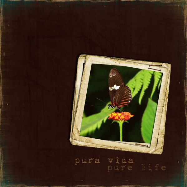 Pura Vida..Pure Life