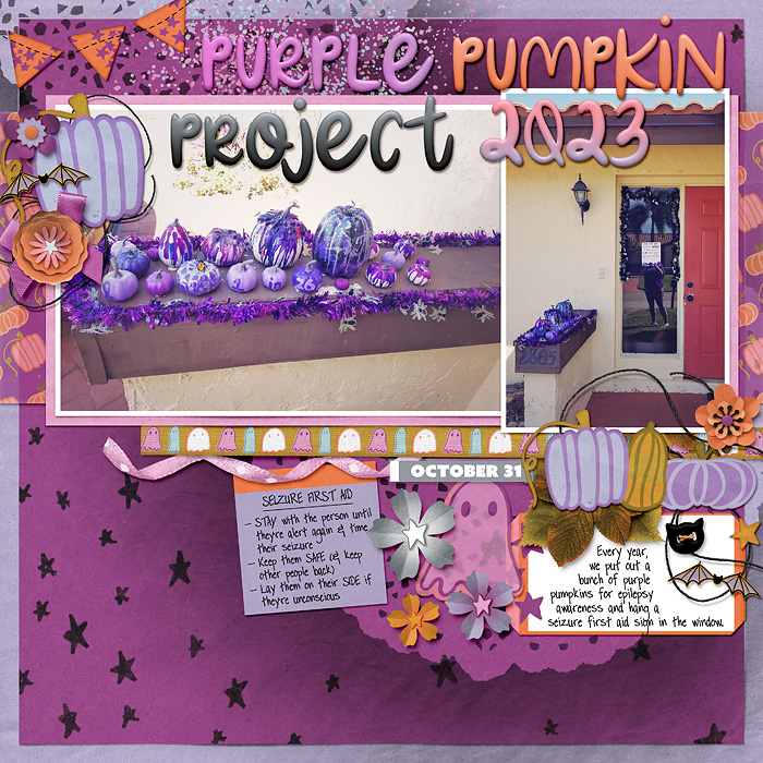purple pumpkin project 2023