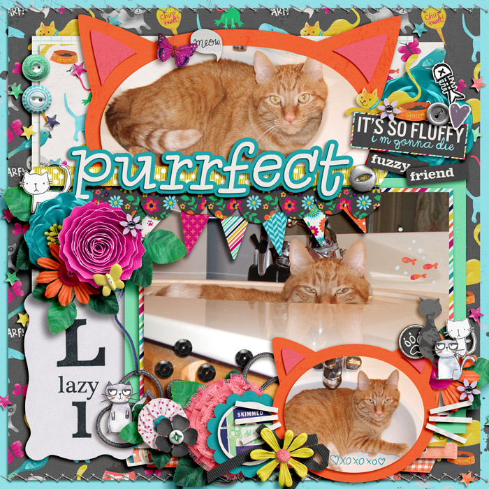 Purrfect