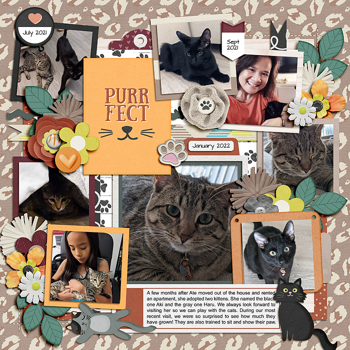 Purrfect