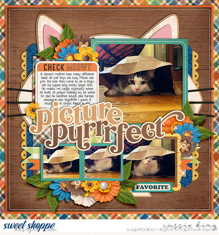 Purrfect