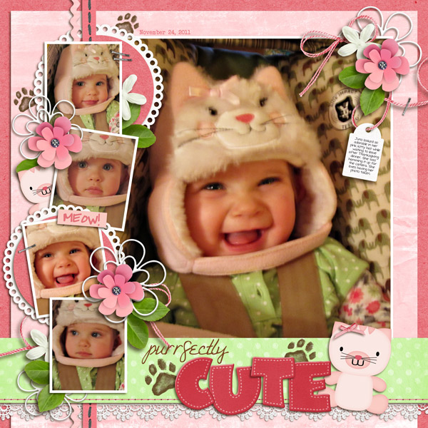 Purrfectly Cute