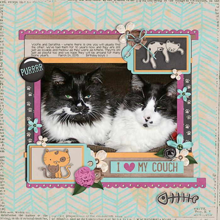 Purrrr - O16 Challenge