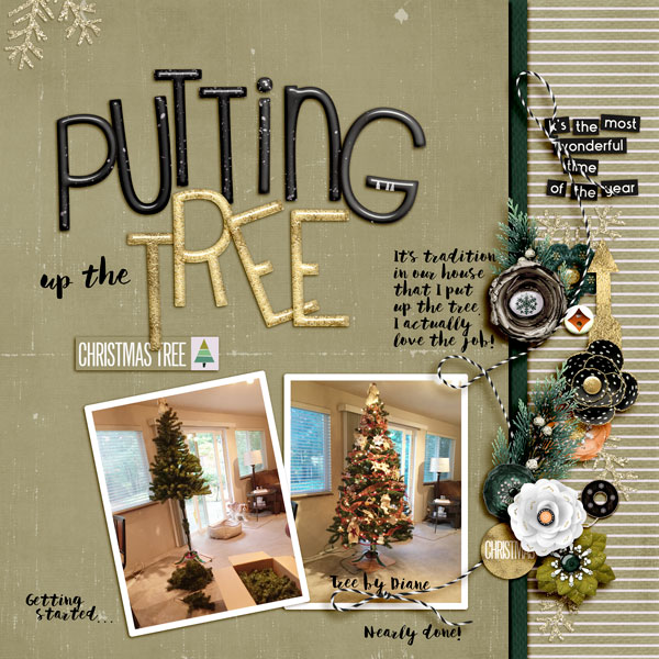 Putting Up the Tree
