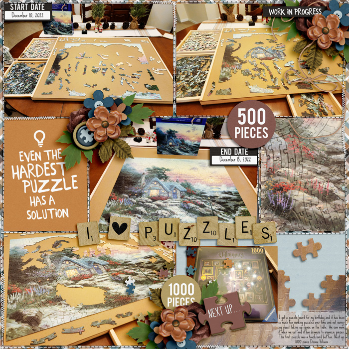 Puzzle Board 22