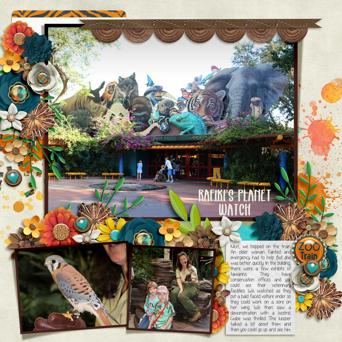 Rafiki's Planet Watch