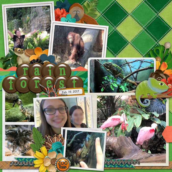 Rain Forest