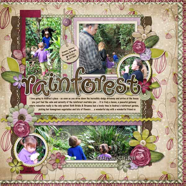 Rainforest - Andrea's Garden