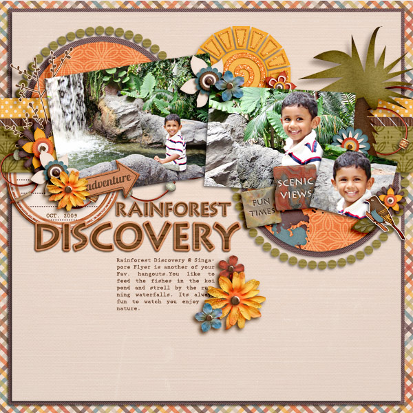 Rainforest Discovery