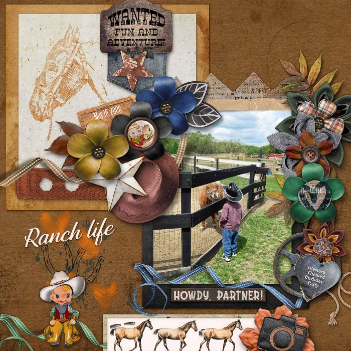 Ranch Life in 2008