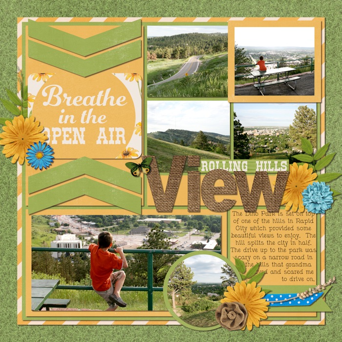 Rapid City Vacation - Page 6