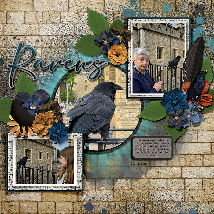 Ravens at the Tower of London
