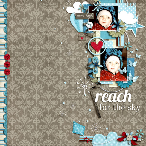 Reach For the Sky