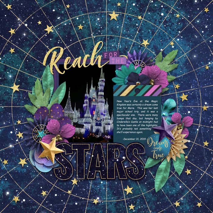 Reach for the Stars