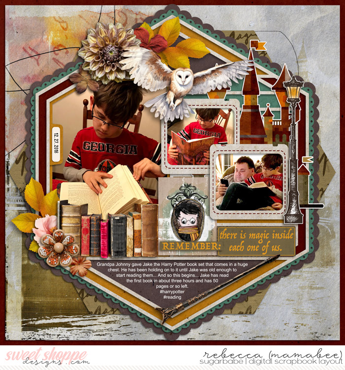 Reading Harry Potter