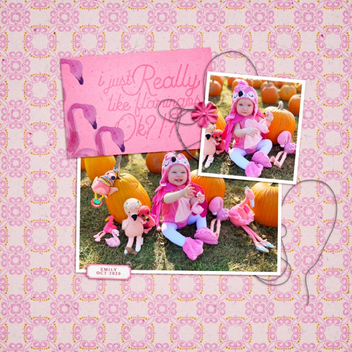 Really Like Flamingos