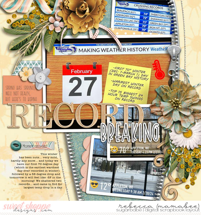 Record breaking weather