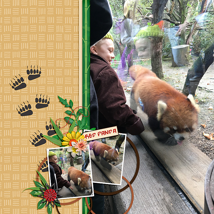 Red Panda