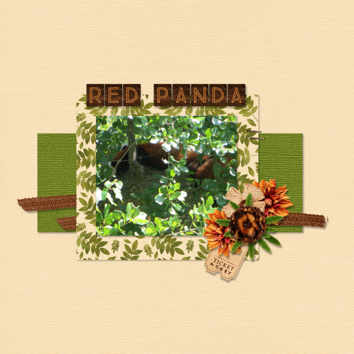 Red Panda
