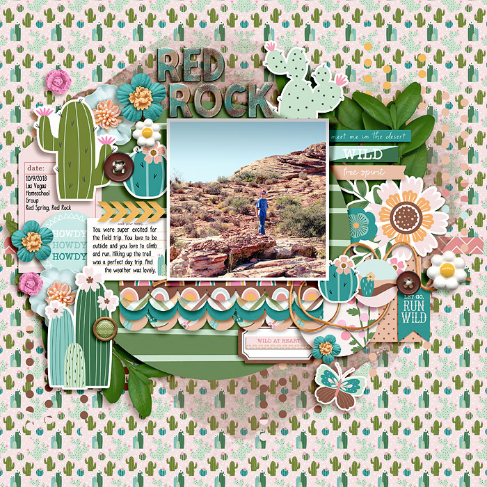 Red Rock Hike