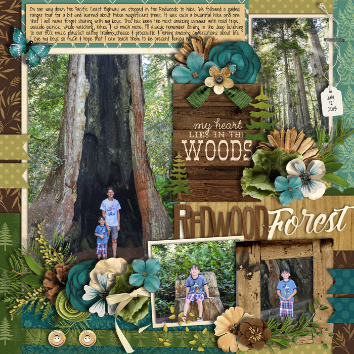 Redwood Forest