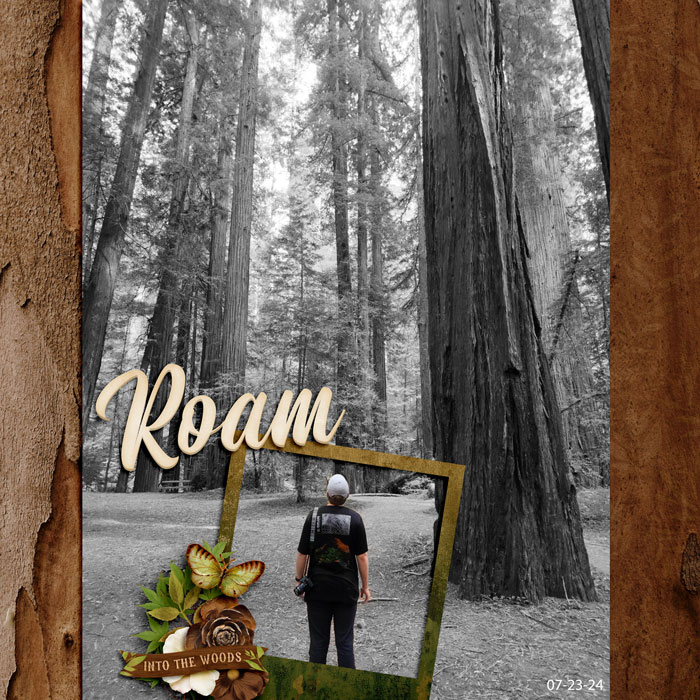 Redwoods