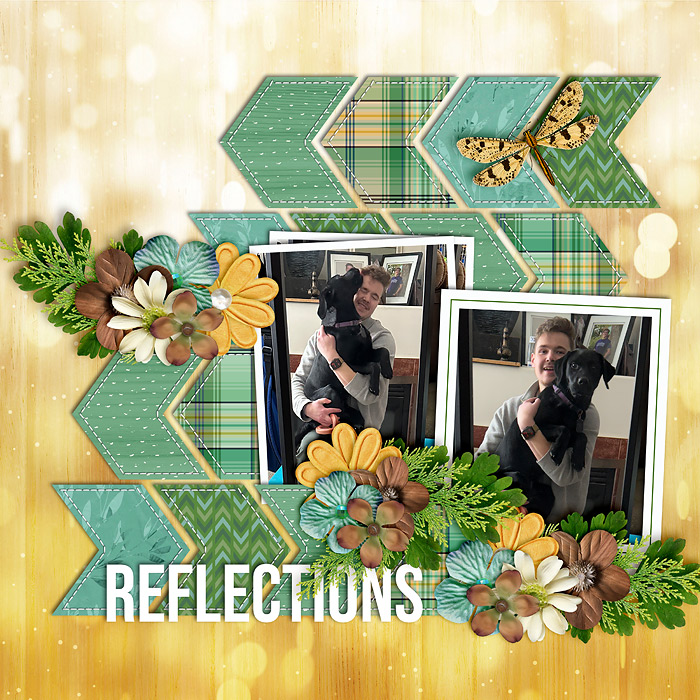 Reflections