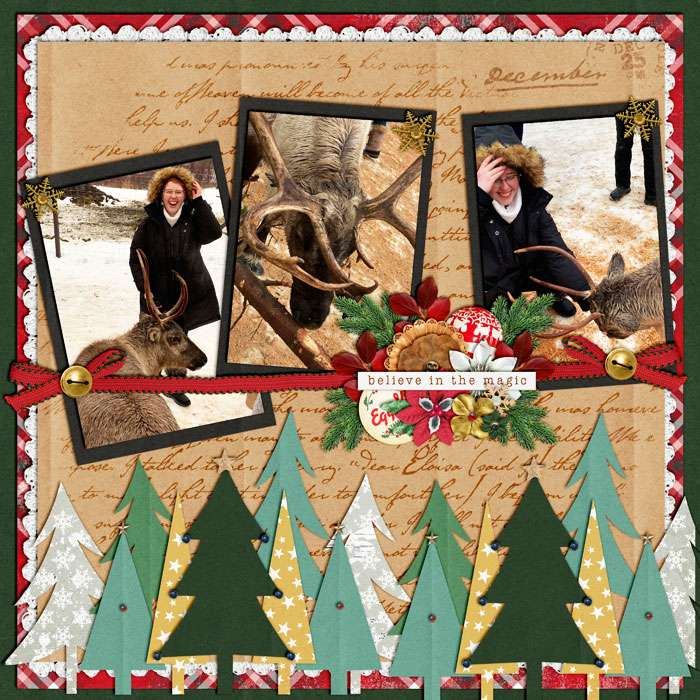 Reindeer Farm