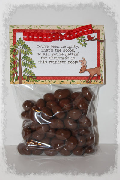 Reindeer Poop