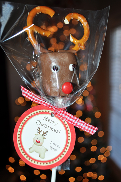 Reindeer tags