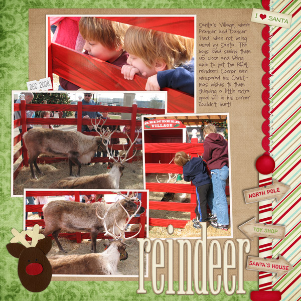 Reindeer