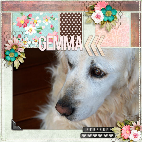 Remember Gemma