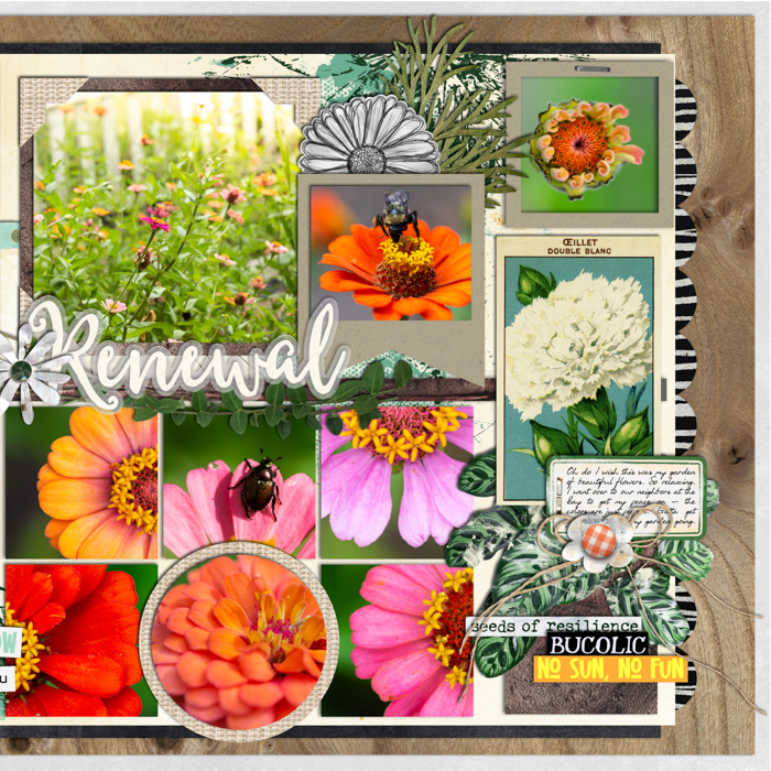 Renewal - p2