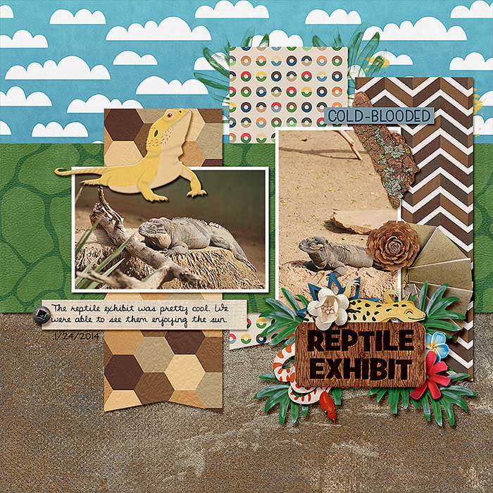 Reptile Exhibit