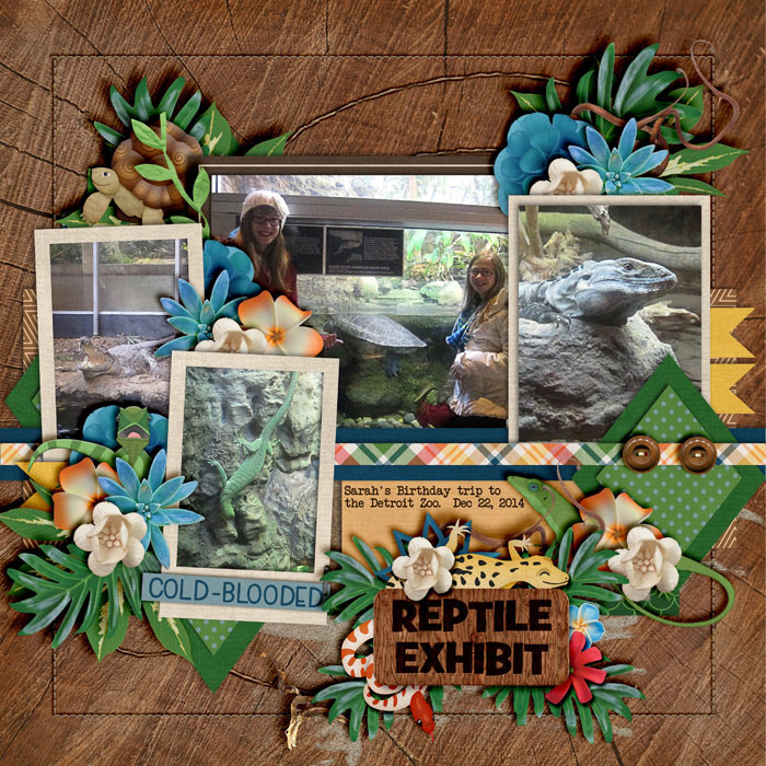 Reptile Exhibit