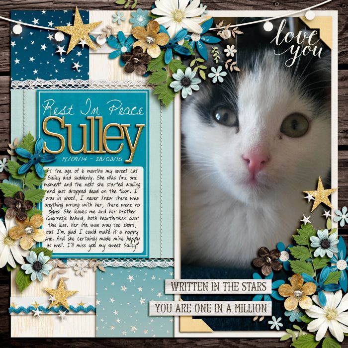 Rest In Peace Sulley